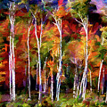 Autumn in the Birches