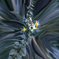 Canada Lily Abstract